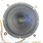 Emerson 8 in field coil speaker repair, Speaker Exchange, Speakerex