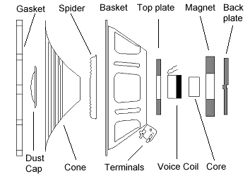 How a Speaker works detailed