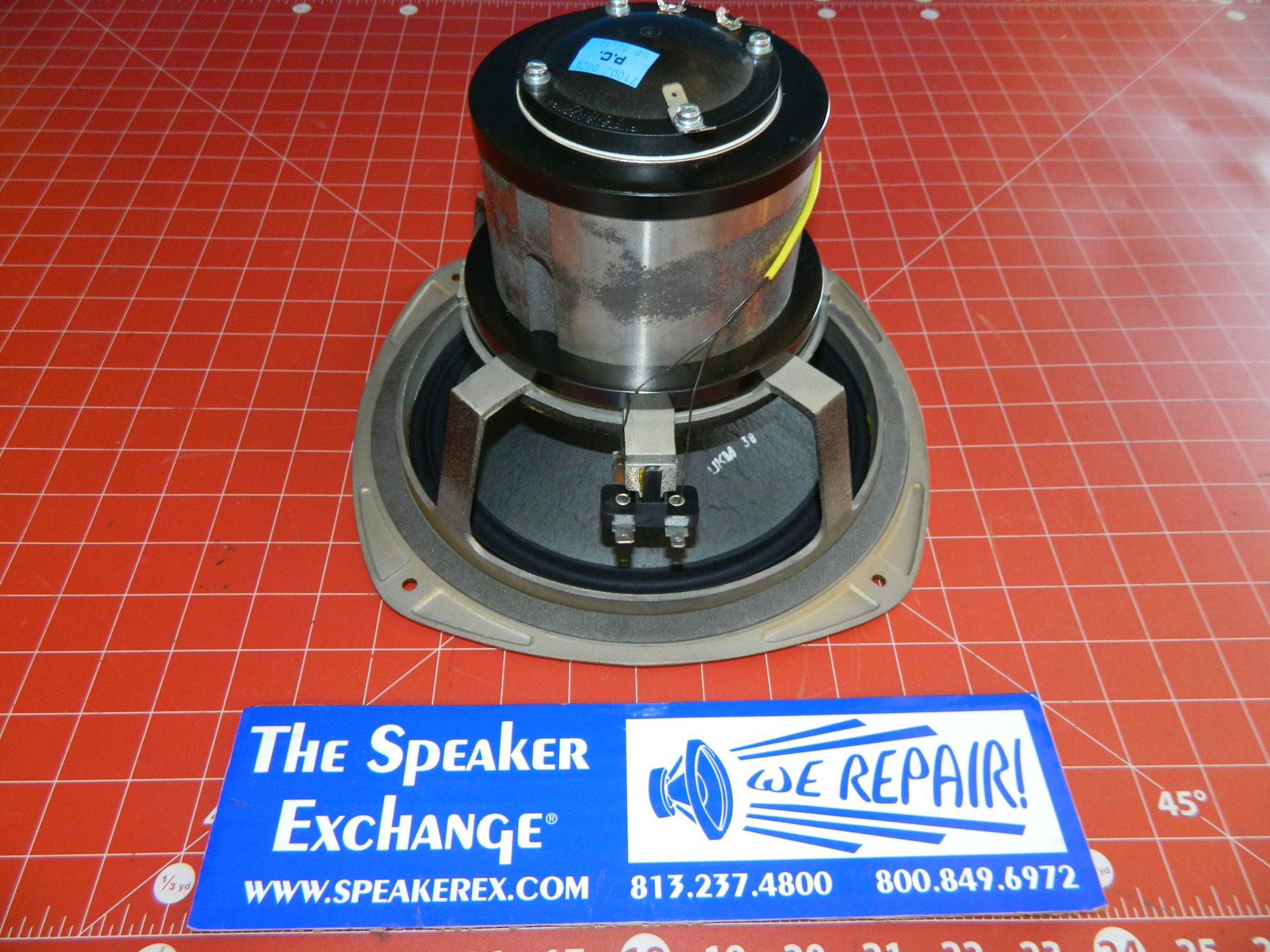 TANNOY ネットワーク Tannoy Kensington SE Dual Concentric Driver 7900 0693 - The