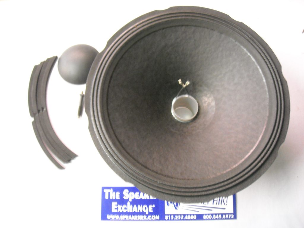 ユニベアシティ　ドレイク教授 レアディズニーストアユニベアシティドレイク教授先生ドナルドやスクルージ