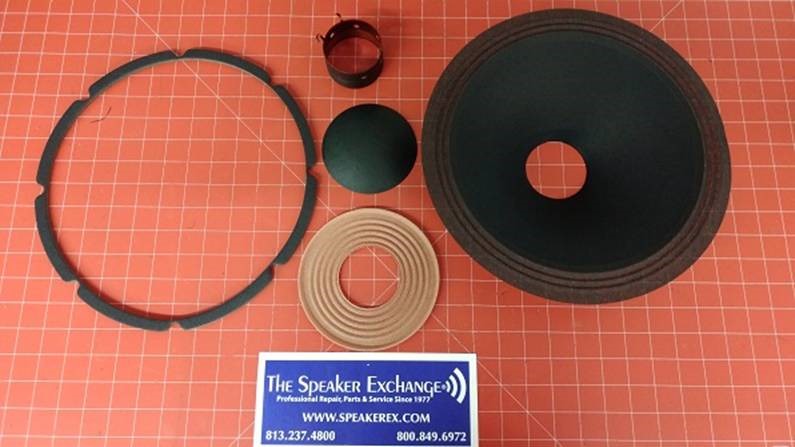 EV Electro Voice DL12X 12