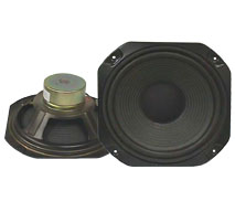 Square 10" Zenith Woofer
