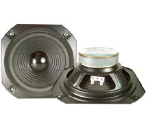 Square 10" Frame Woofer