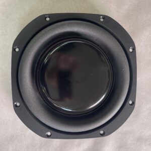 Paradigm UltraCube 12 Passive Speaker Repair Refoaming Service